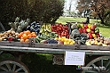 messer tulipano 2019 Inaugurazione_311